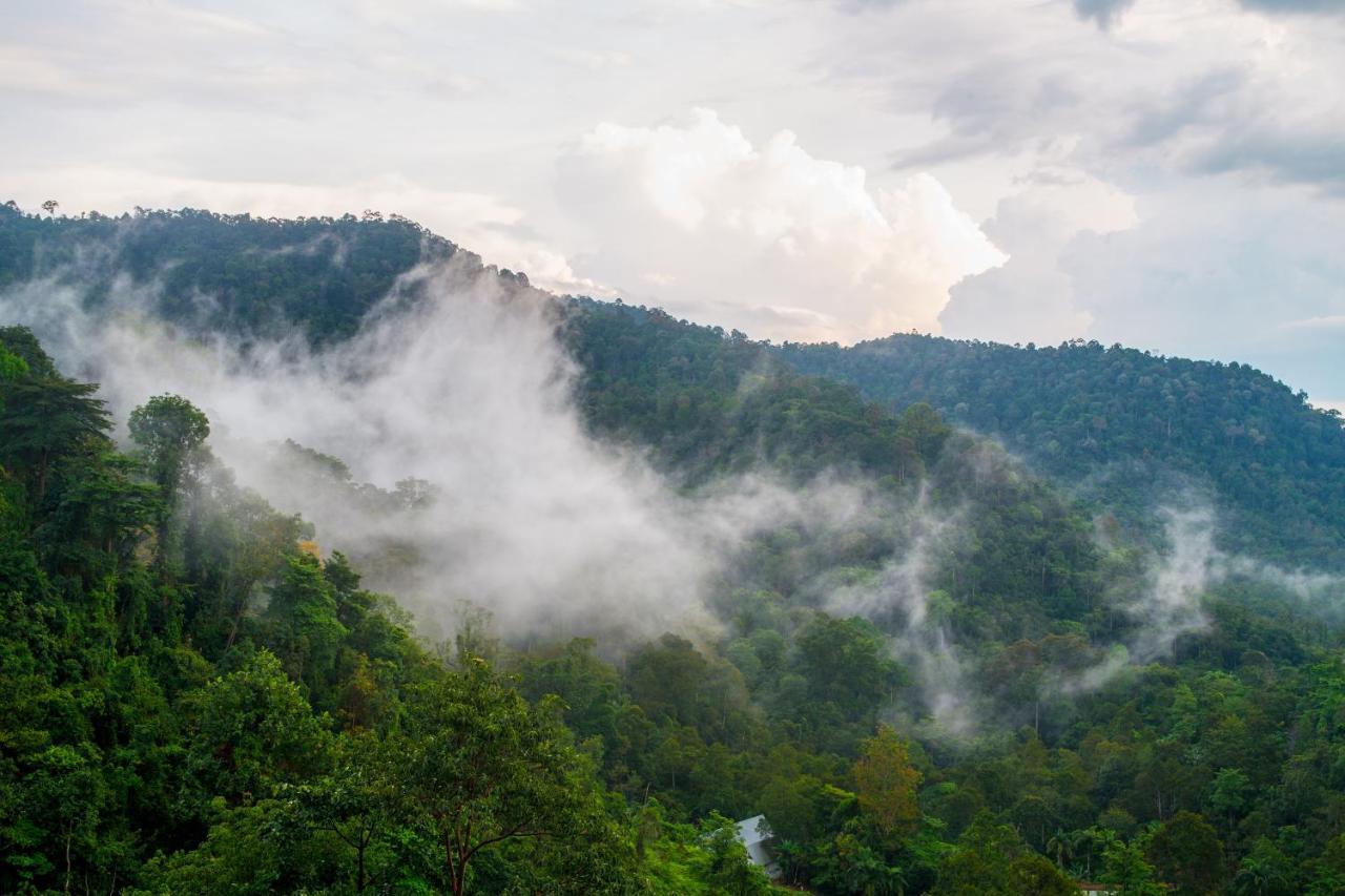 Sembayu Villa Pantai Exteriér fotografie